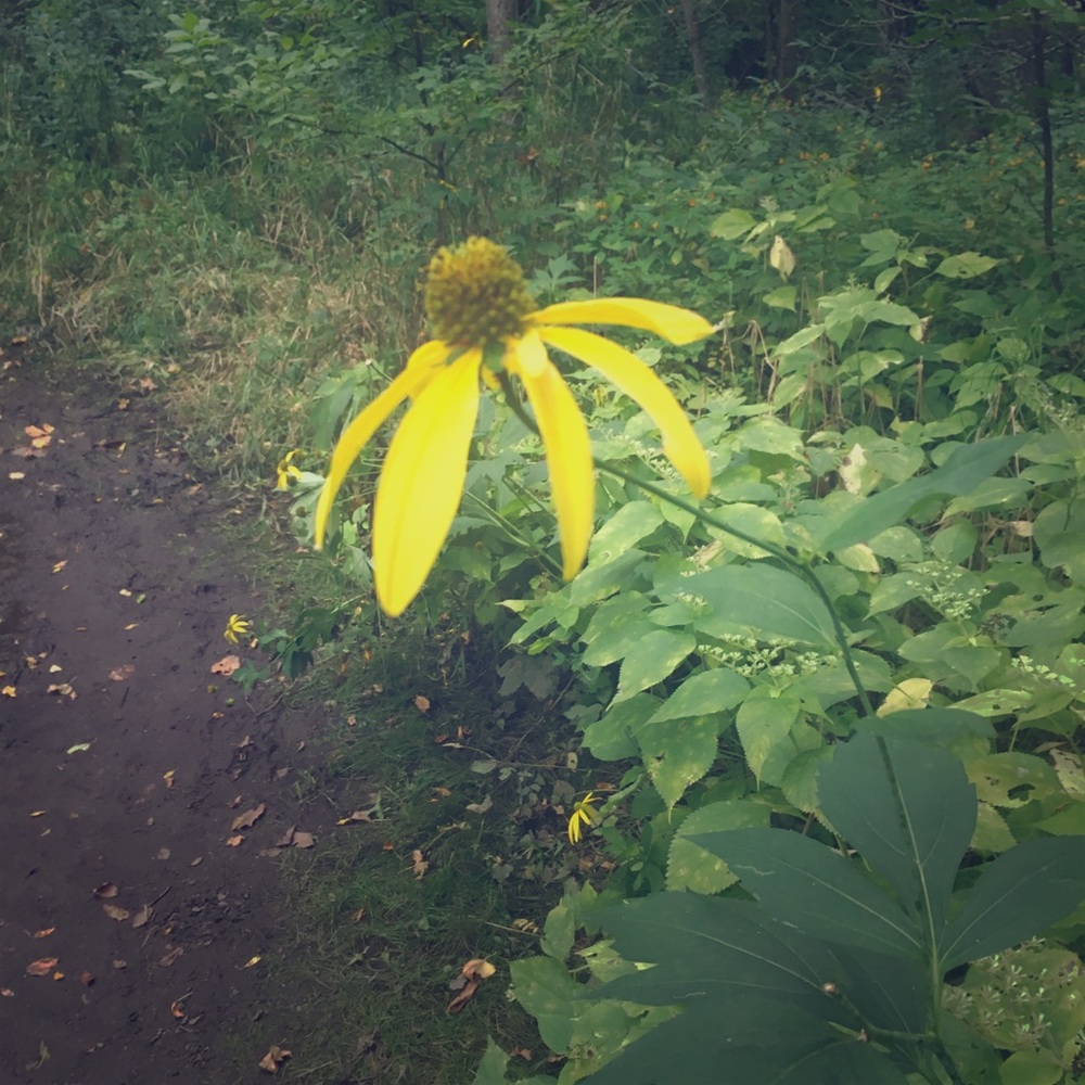 Meet your Posher, Nichole & KK